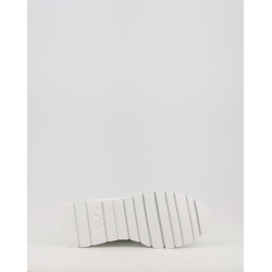 A 2481