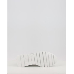 A 2464
