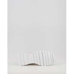 A 2464