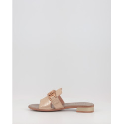 LENA HV243268