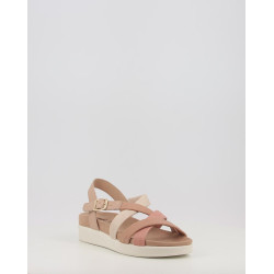 DAISY 758010