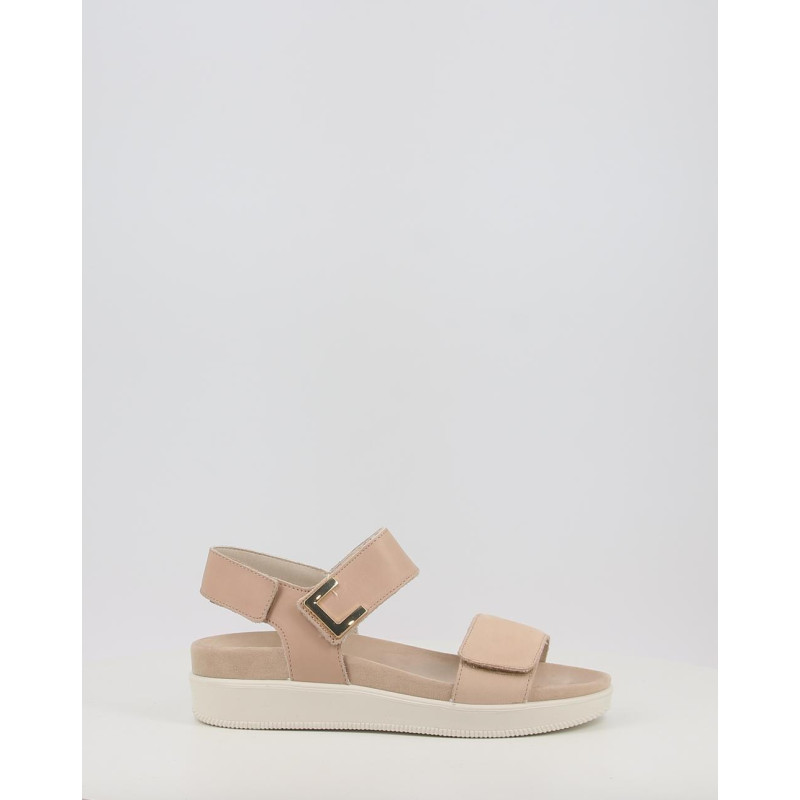 DAISY 758050