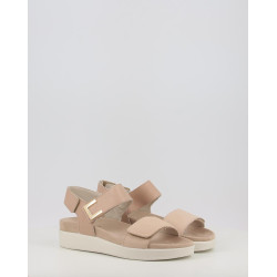 DAISY 758050