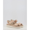 DAISY 758050