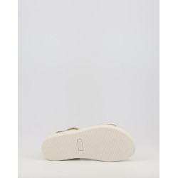 DAISY 758050